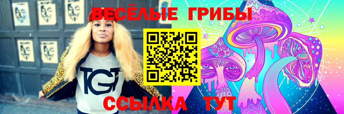 Галлюциногенные грибы MAGIC MUSHROOMS  купить наркотик  Белая Калитва  Вход с VPN 